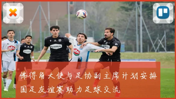 佛得角大使与足协副主席计划安排国足友谊赛助力足球交流