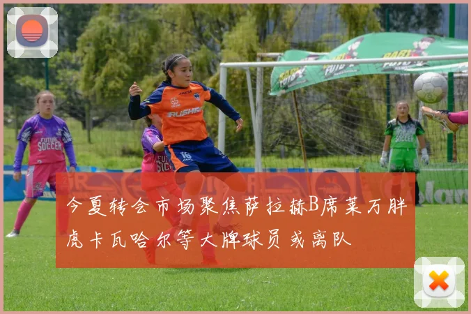 今夏转会市场聚焦萨拉赫B席莱万胖虎卡瓦哈尔等大牌球员或离队